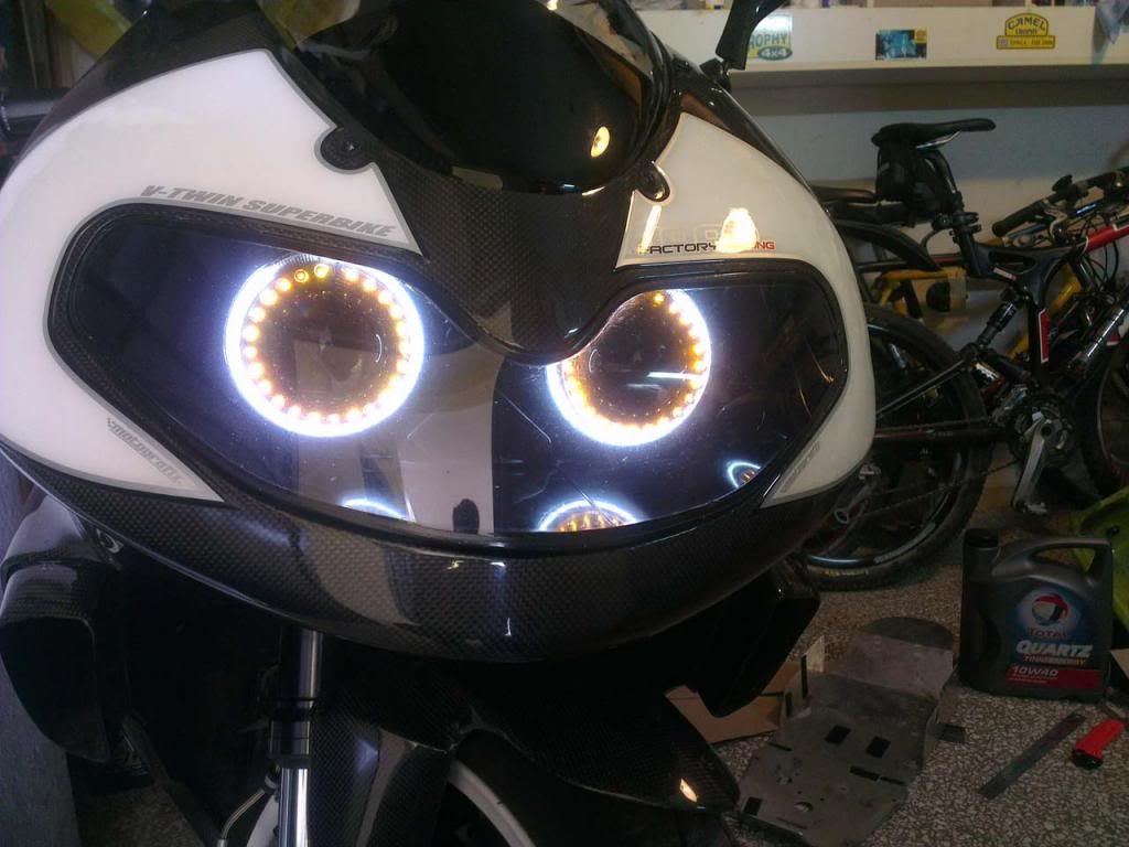 TLR Headlight dual bixenon for sale